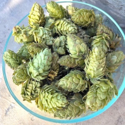 Dried Whole Flower Cascade Hops