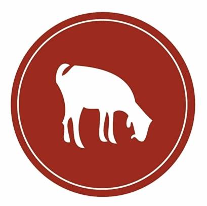 Red Clay Soap Logo