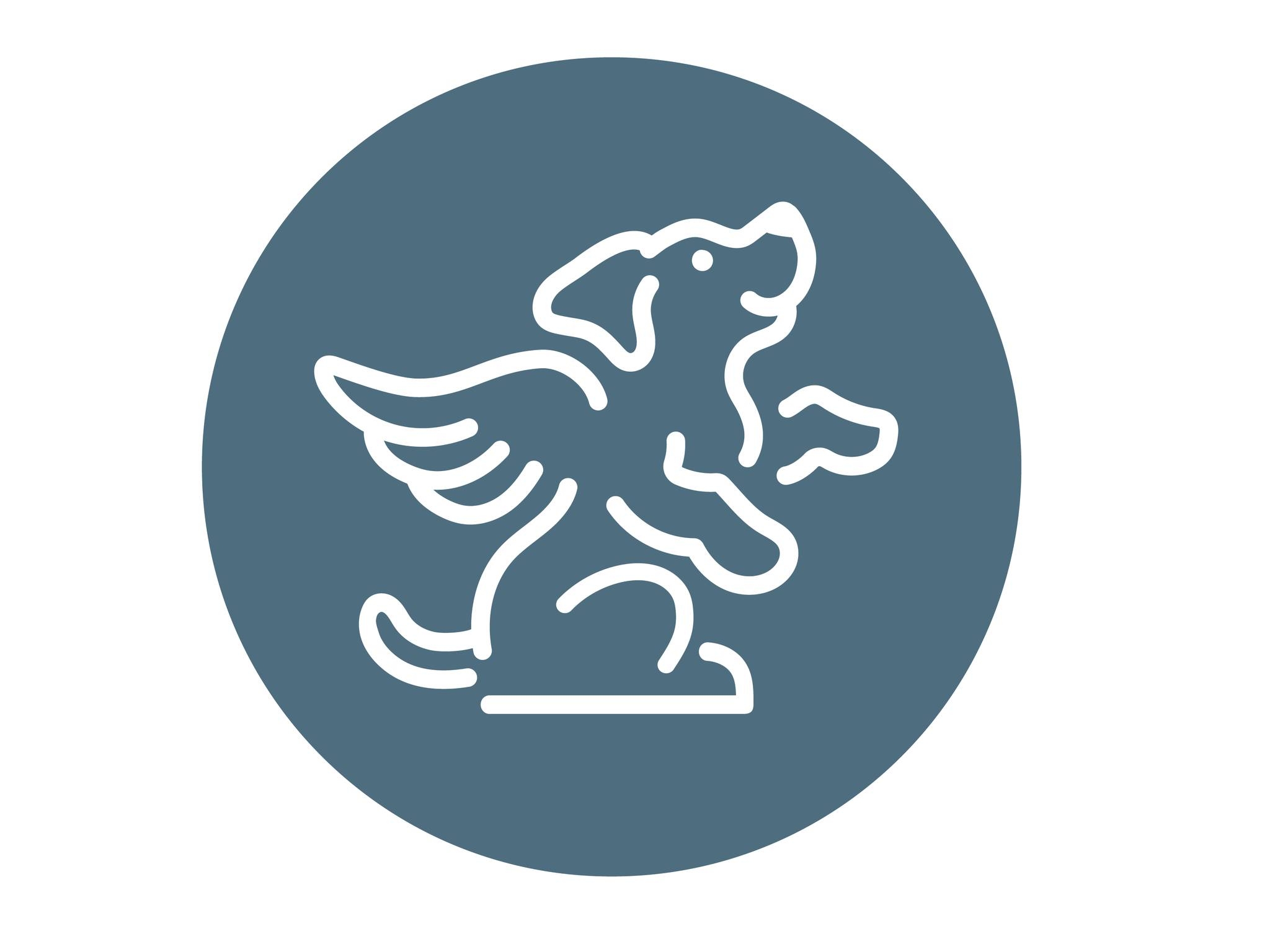 K9 Sport Sack Logo