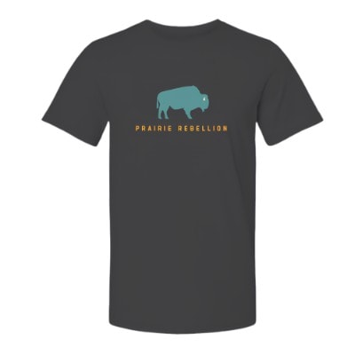 Teal Joyency Buffalo T-Shirt
