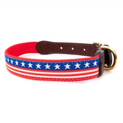 American Traditions Leather and Ribbon Dog Collar