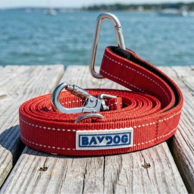 Hudson Bay Dog Leash