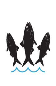 3 Fish Studios Logo