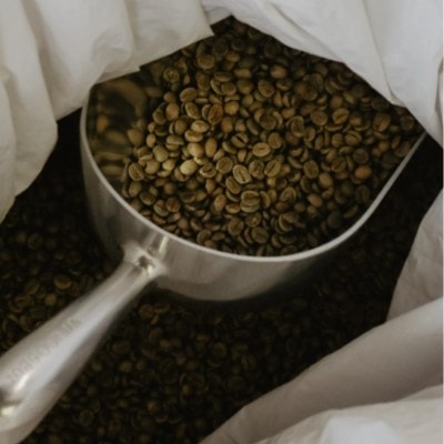 Green Coffee Beans