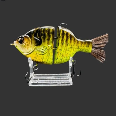 Outlaw Willie Gill “Grand Lake Gill”