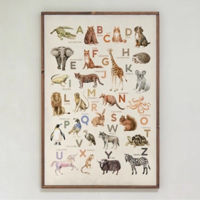 Animal Alphabet