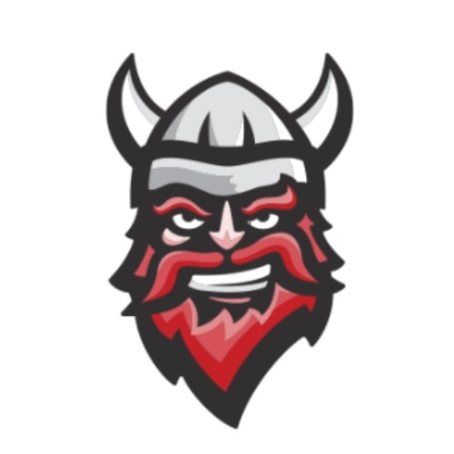 Viking Electronics Logo
