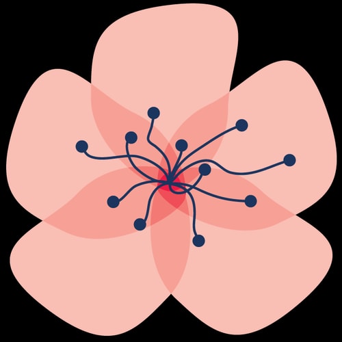 American Blossom Linens Logo