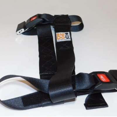 Big Dog Seat Belt