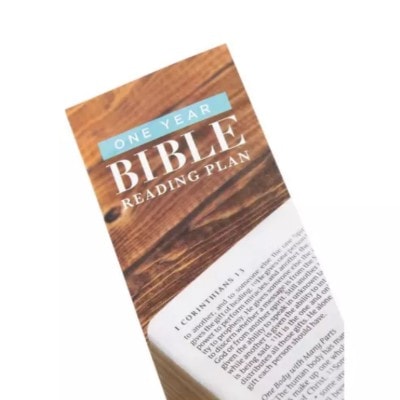 Salt & Light, One Year Bible Reading Plan, 15 Minutes a Day