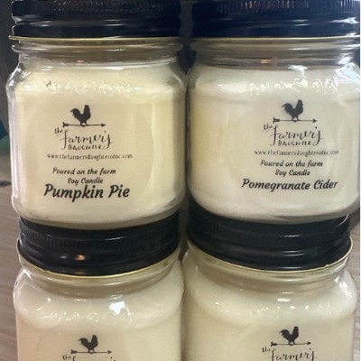 Fall & Holiday Soy Candle Collection