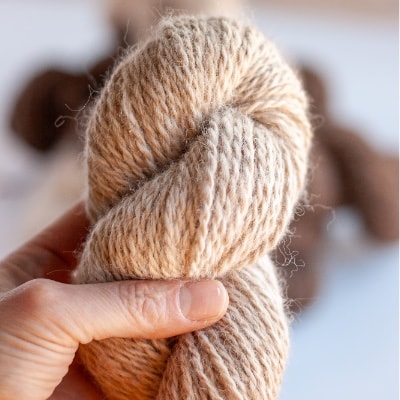 Worsted Weight 2 Ply Alpaca Yarn - Fawn
