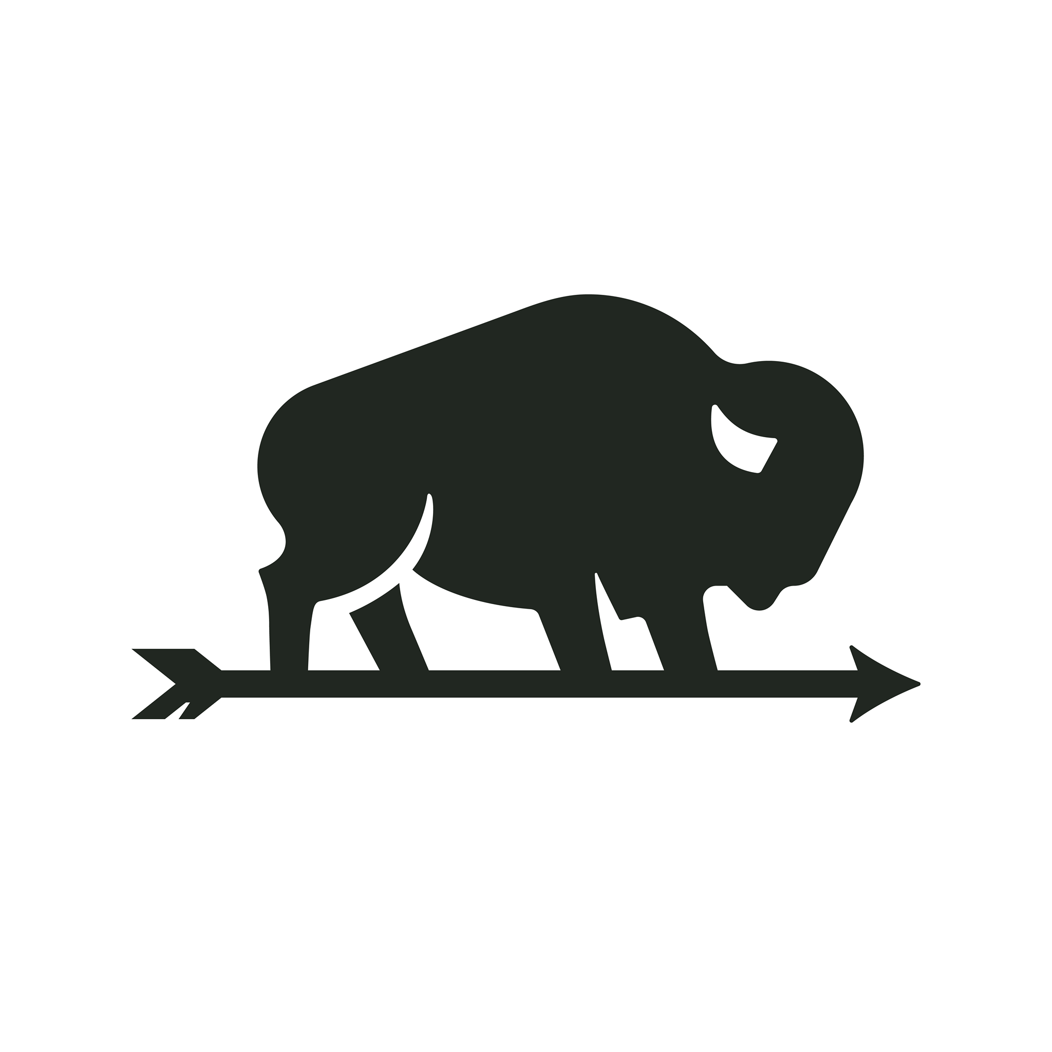 Nebraska Bison Logo