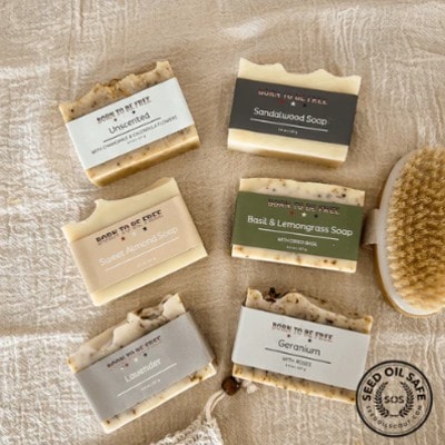 Born To Be Clean Tallow Soap Bundle